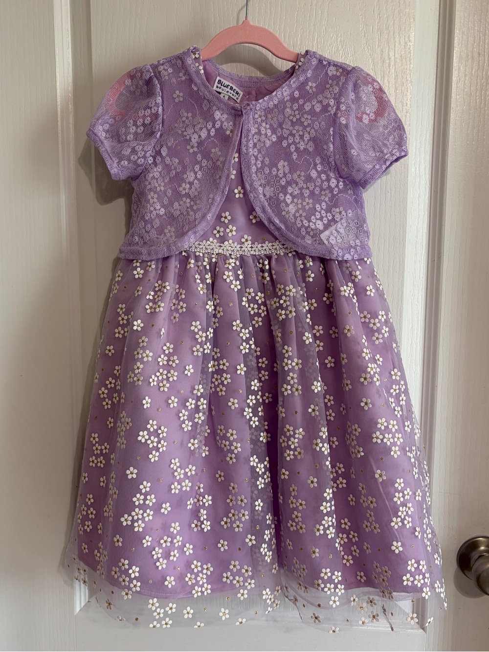 Blueberi Boulevard Spring Dress Girls Size 6